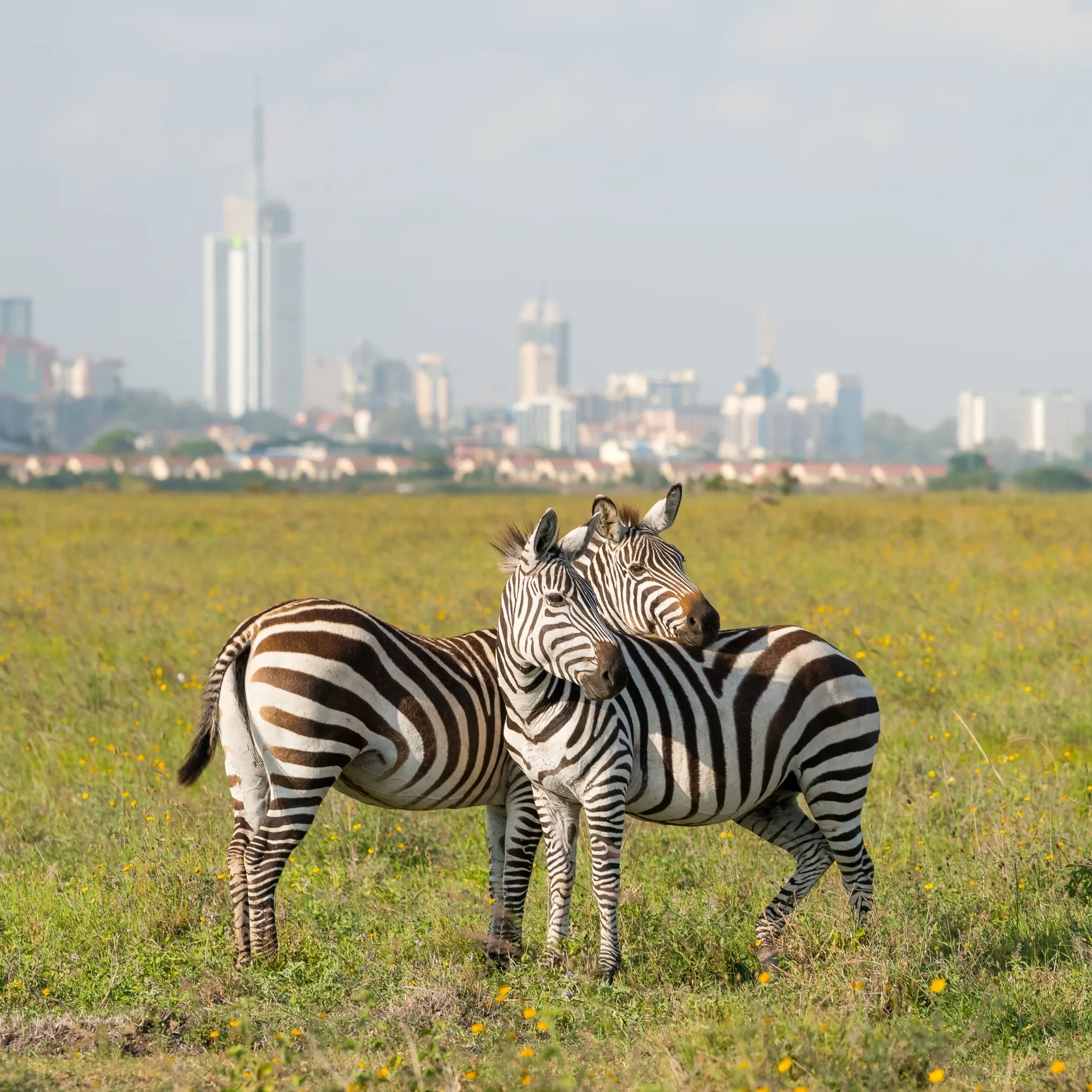 13 Days Kenya Scenic Safari