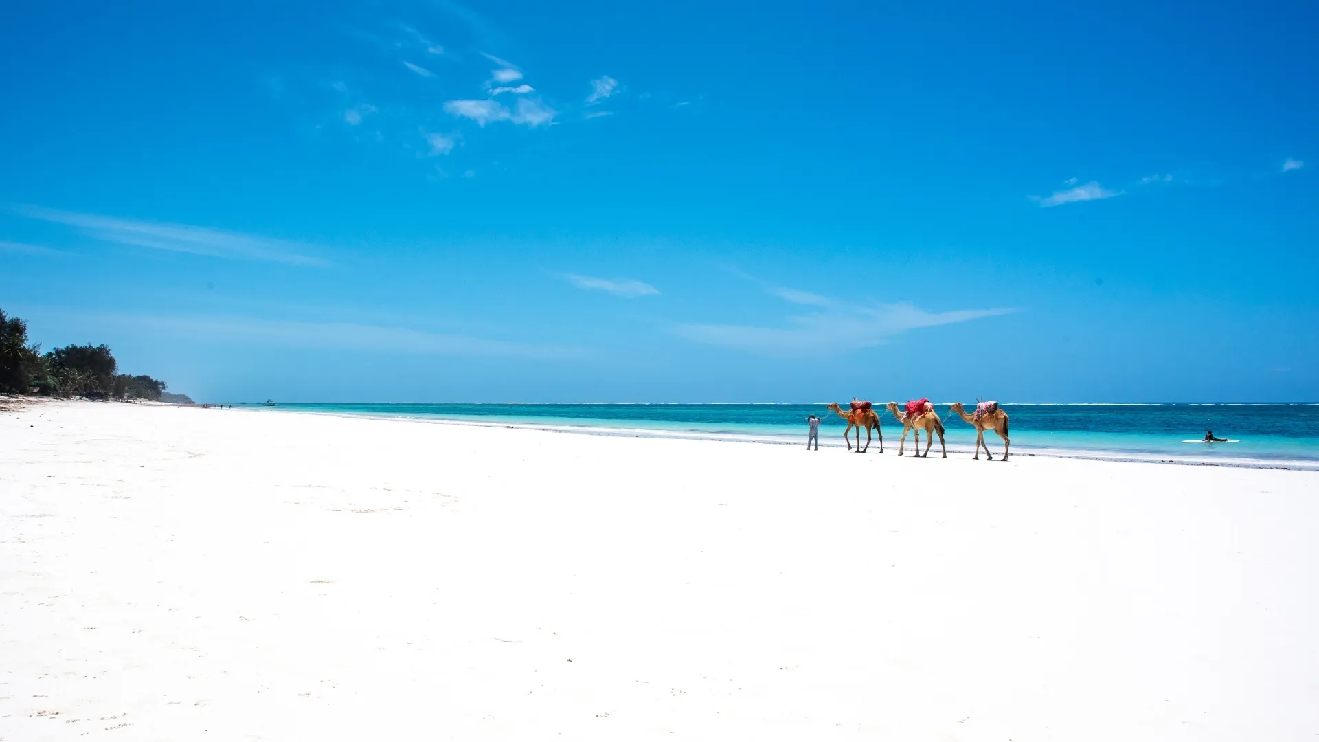 3-5 Days Kenya Beach Extension - Image 3