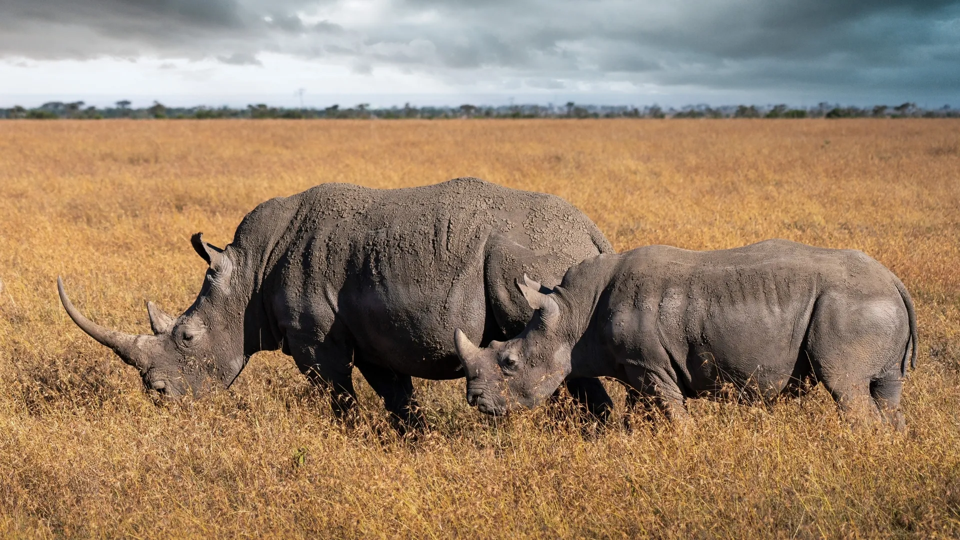 9 Days Kenya Classic Safari - Image 7