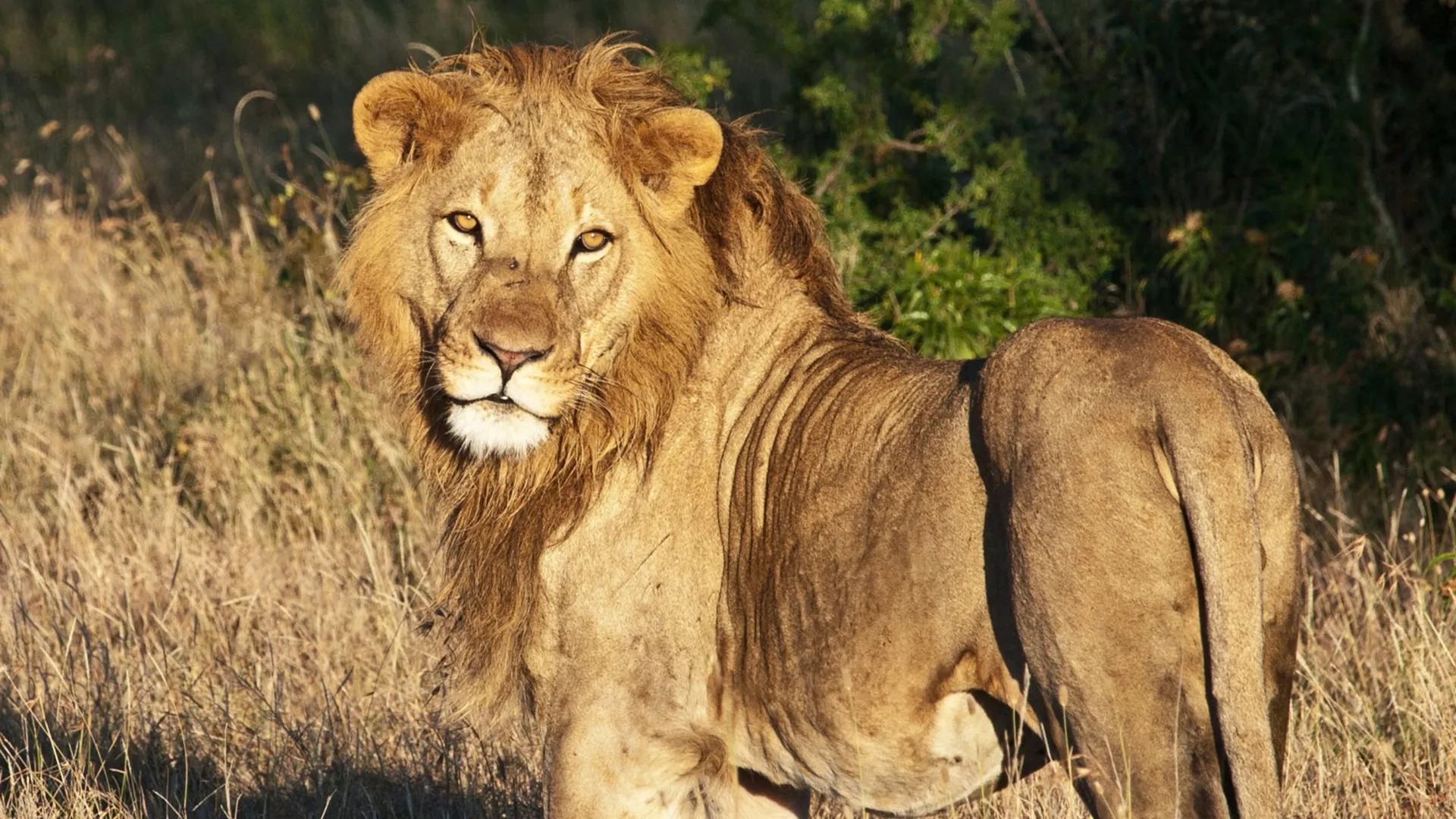 9 Days Kenya Classic Safari - Image 2